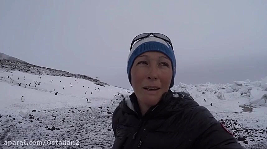 دانلود دوبله فارسی مستند Penguins: Life on the Edge 2020 زمان4585ثانیه
