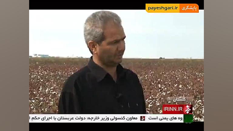 گزارش با موضوع مشکلات صنعت پنب...