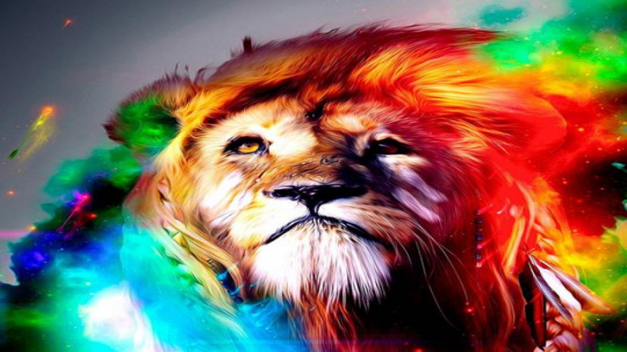 ریمیکس خفن از &quot;شیر&quot;...