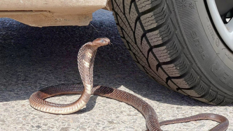 چالش ردشدن ماشین از وسایل بازی...