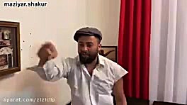 کاملیا و کامبیز