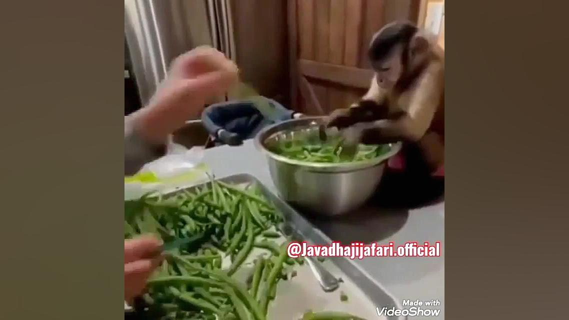 لهجه شیرین محلاتی