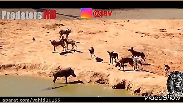 راز بقا با لهجه شیرین محلاتی