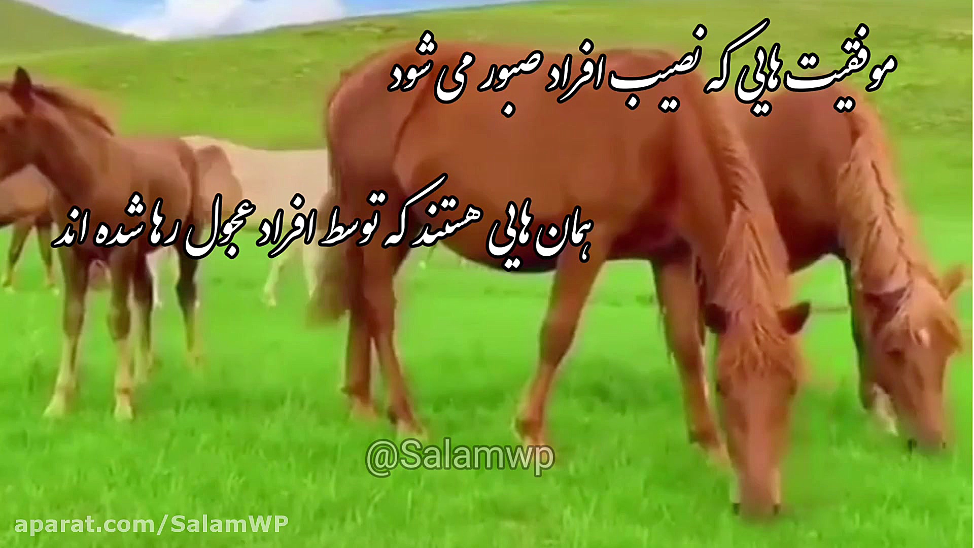 اهنگ شاد | کلیپ شاد | صبح بخیر...