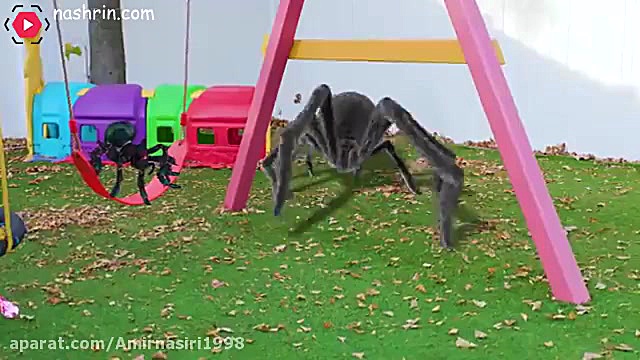 کارتون سرگرمی مایا و مری  برنا...