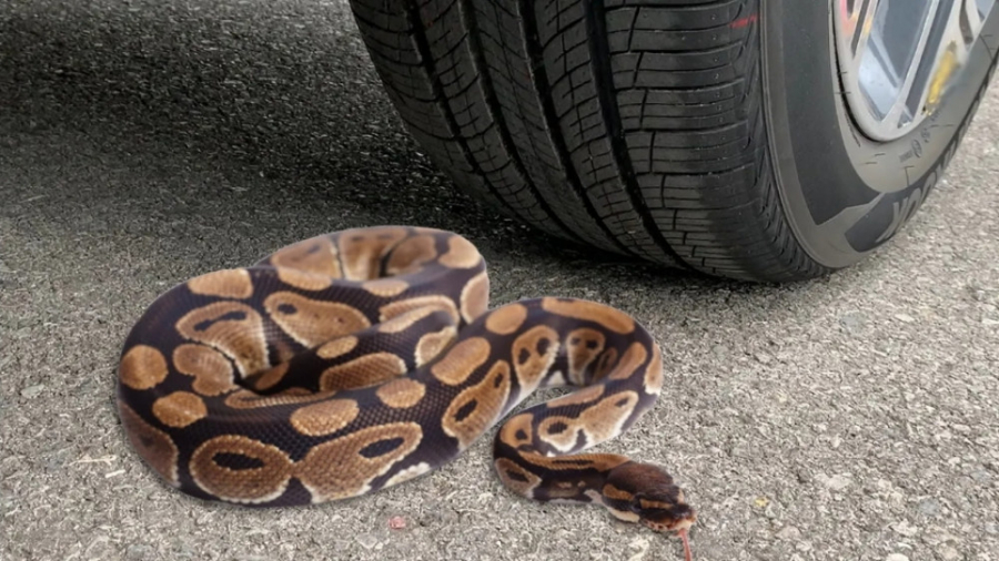 له کردن و خرد کردن اجسام زیر م...