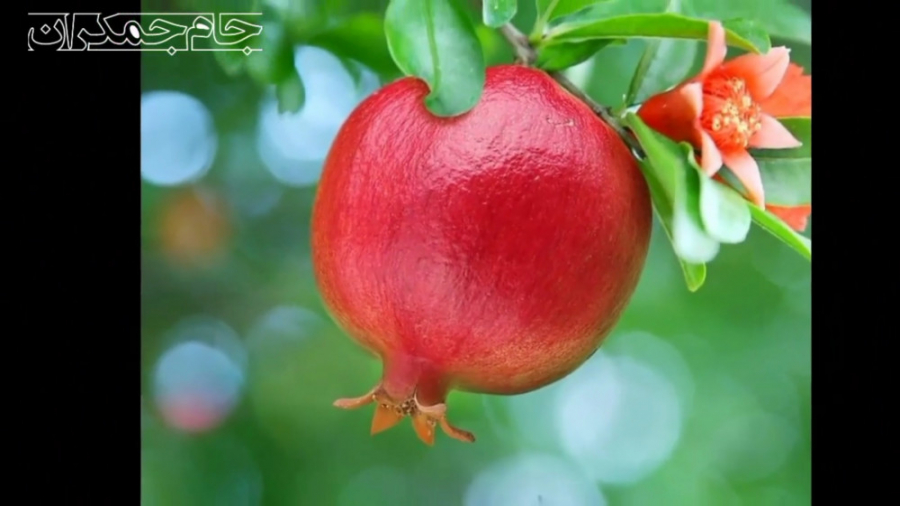 کلیپ عاشقانه درباره خدا ❤