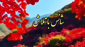 کلیپ صبح بخیر لاکچری زیبا