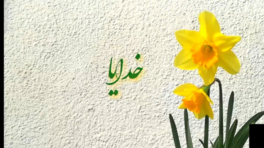 کلیپ دعا برای فرج امام زمان عج