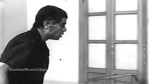 دیالوگ های درخشان  گوزن ها