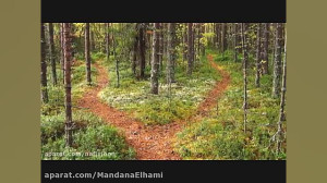 داستان شمس و زن روسپی از کتاب...