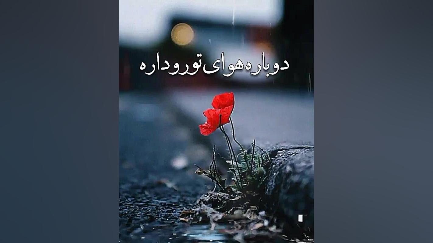 امین رستمی دلم گرفته