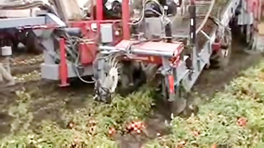 برداشت گوجه فرنگی Pik Rite 190