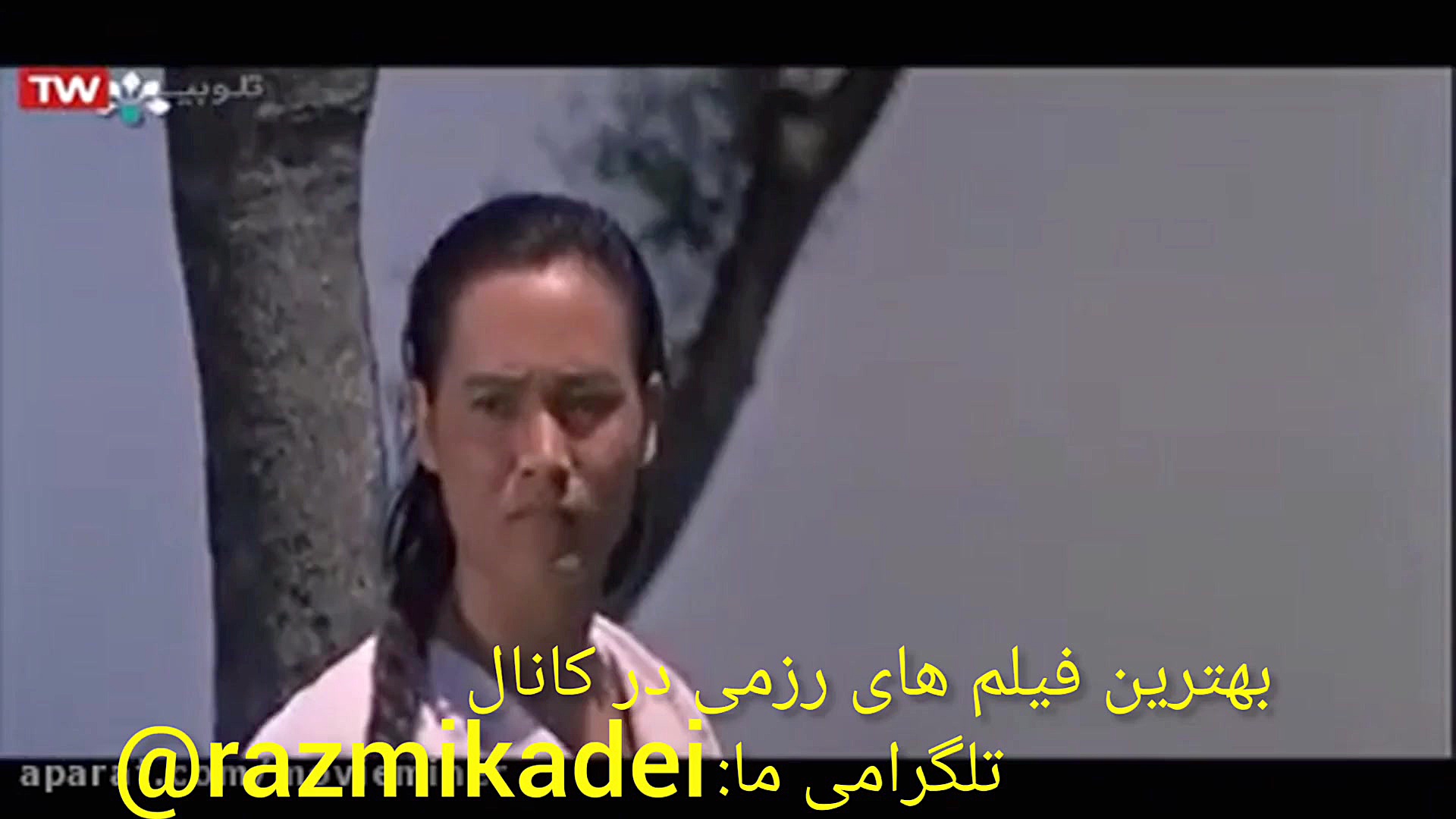 دانلود فیلم سینمایی چینی رزمی...