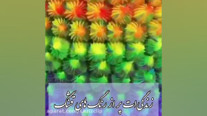 کلیپ تولد ۹ خرداد . تبریک تولد...