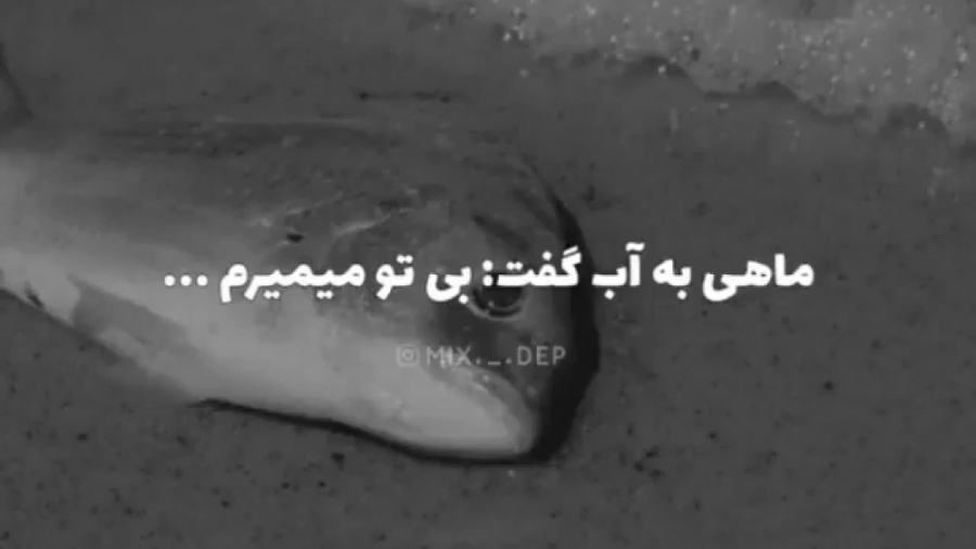 کلیپ خیلی قشنگ ماهی و دریا زمان20ثانیه