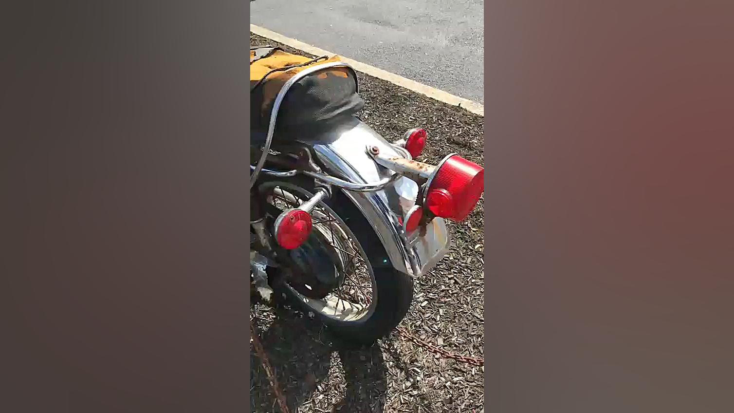 رویش درخت در موتور یاماها