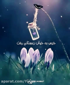 کلیپ بسیار زیبا