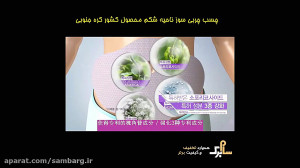 چسب لاغری شکم مای می مدل belly...