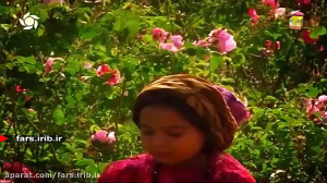 ترانه " هواتو کردم "...