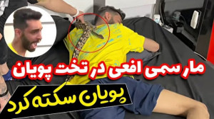 مار سمی افعی در تخت پویان  پوی...