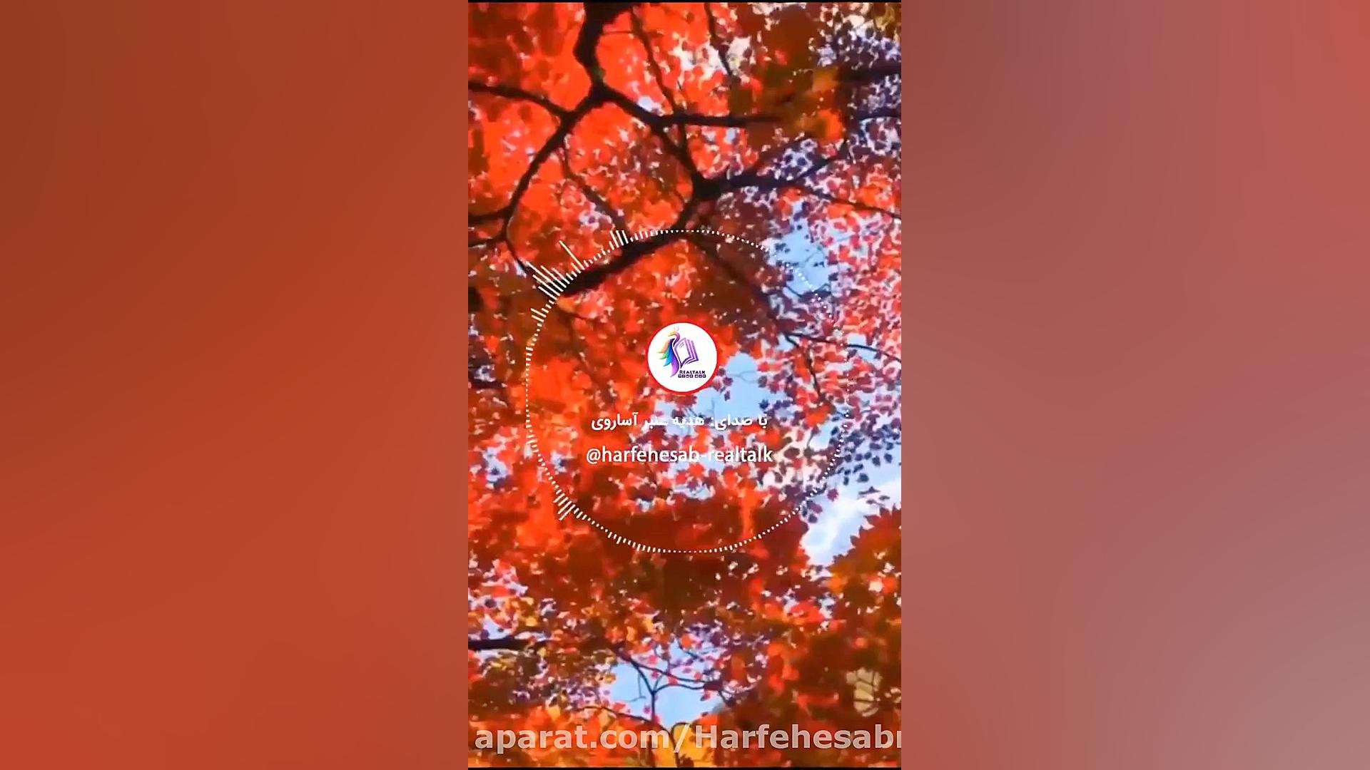 عبارات تاکیدی