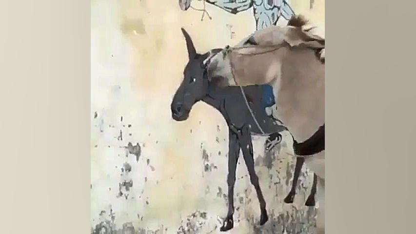 وقتی تو دنیای مجازی با کسی دوس...