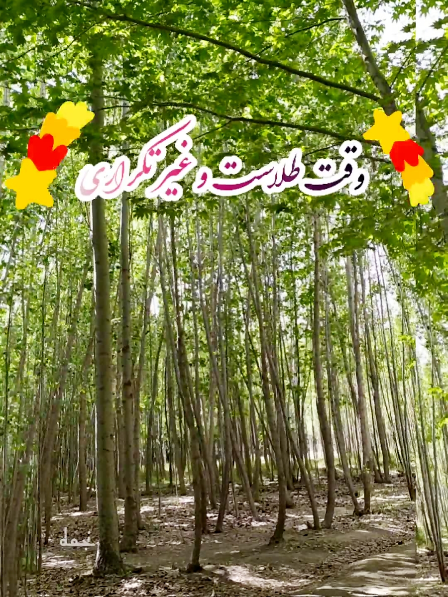 صبح بخیر انگیزشی ،کلیپ زیر نوی...