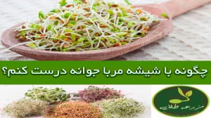 چگونه با شیشه مربا یا بطری نوش...
