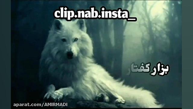 کیلیپ خفن تیکه دار