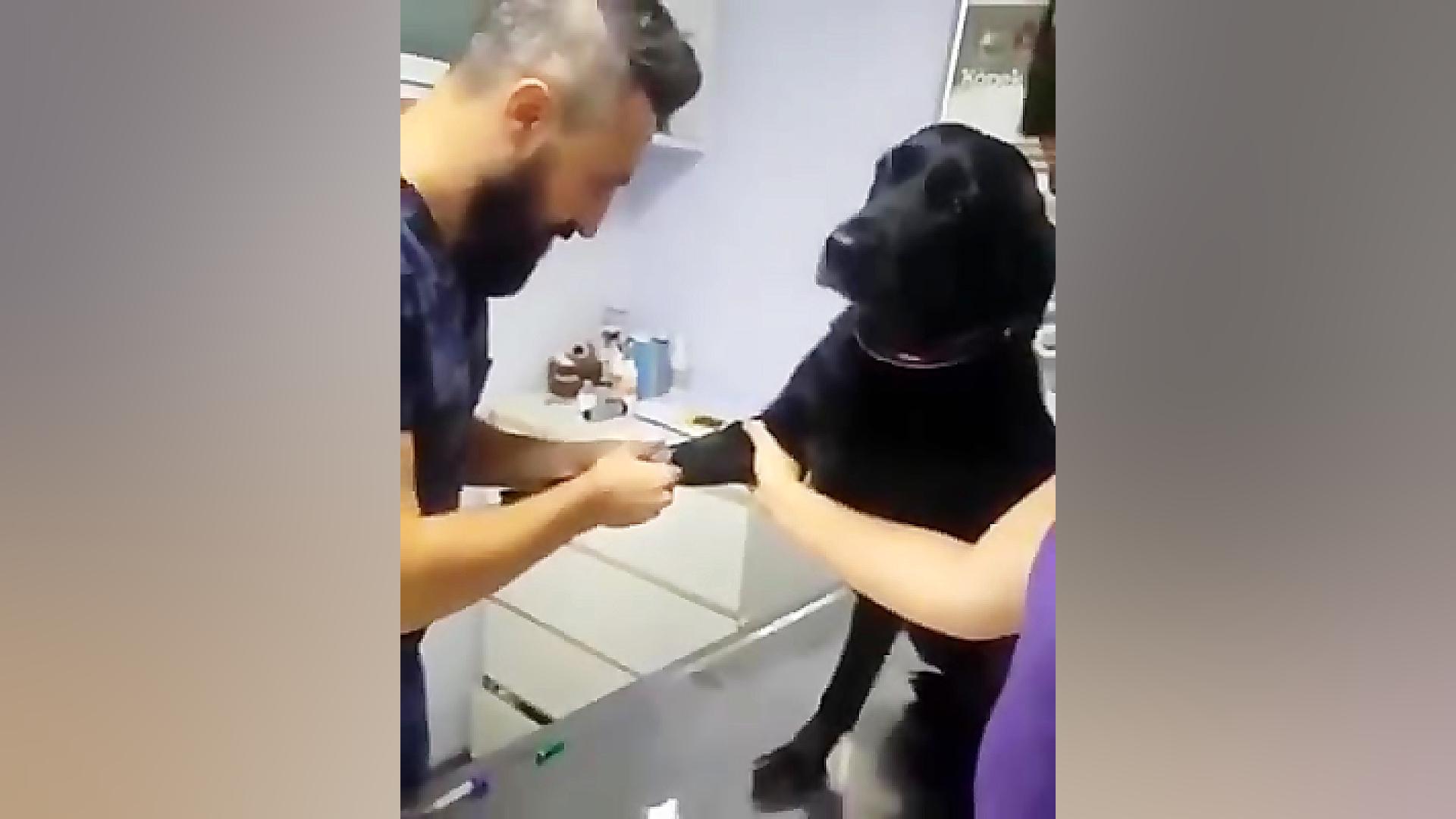 امپول زدن سگ و ادم کدوم بهتر ب...