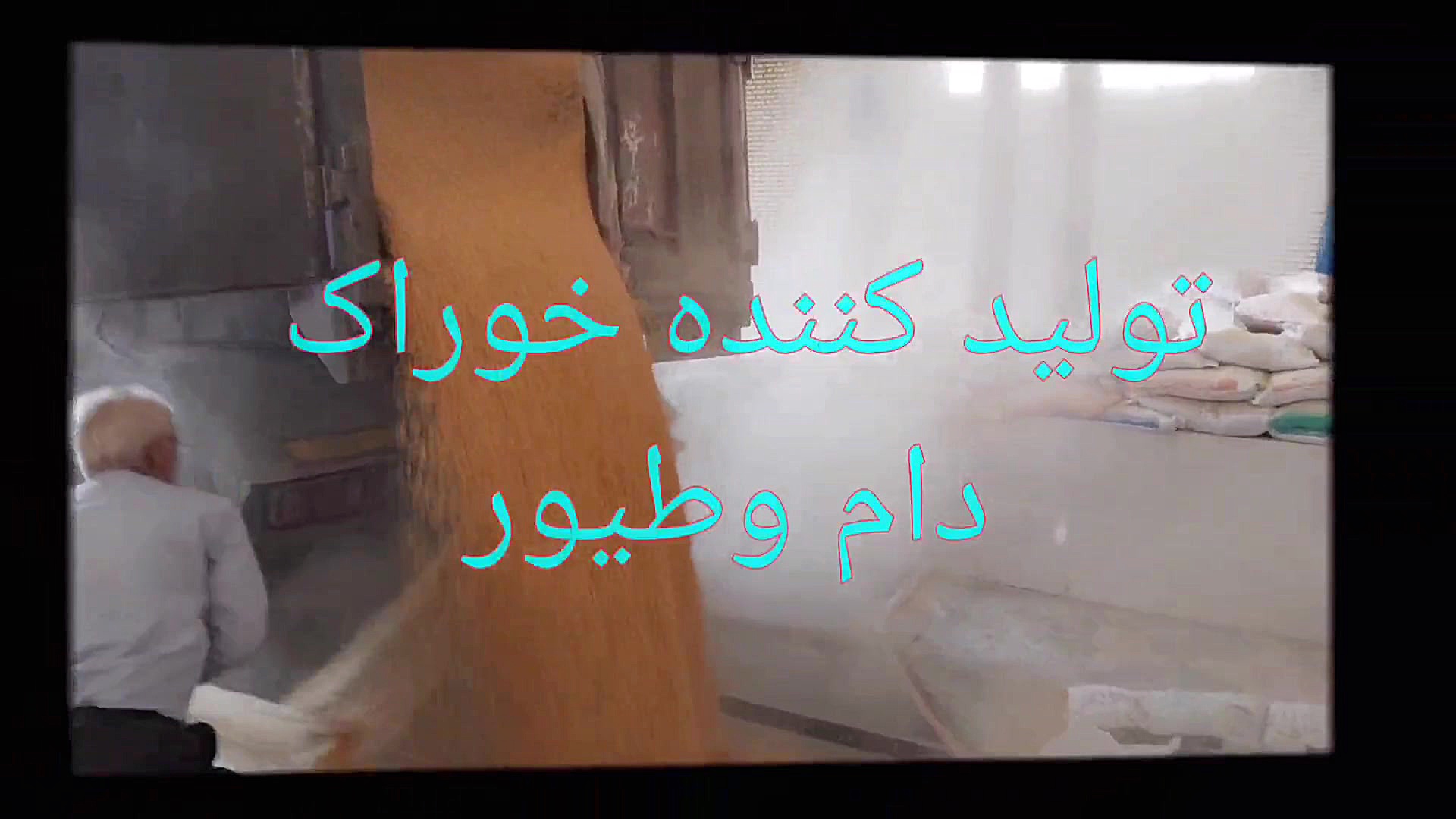 دان آماده شرکت چاودانه نگین غر...