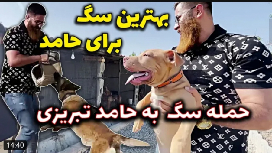 ولاگ | حامد تبریزی | سگ به حام...