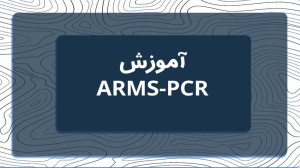 آموزش تکنیک Arms PCR