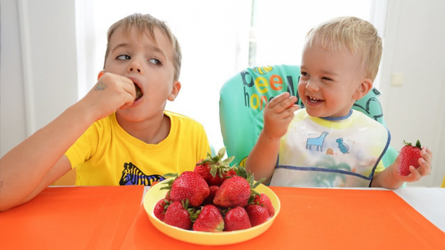 ماجراهای ولاد و نیکی:: ولاد و...