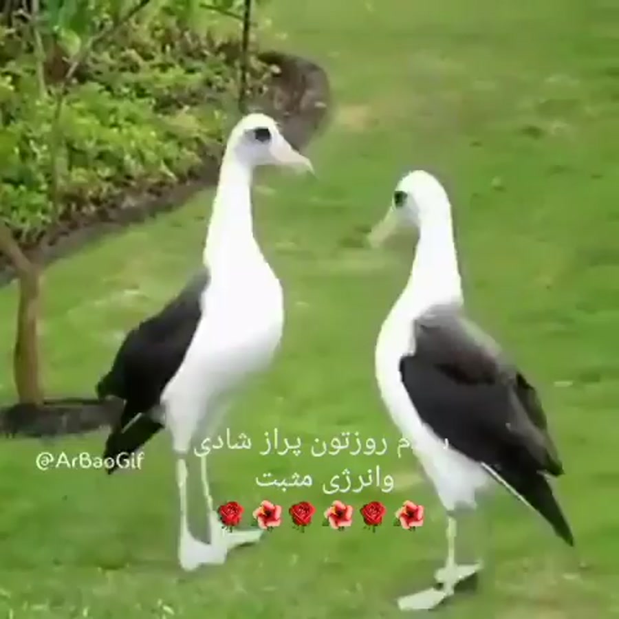 خدا