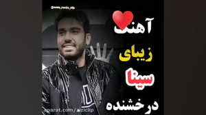 خدایه کاری بکن️️ بال پرنده نشک...
