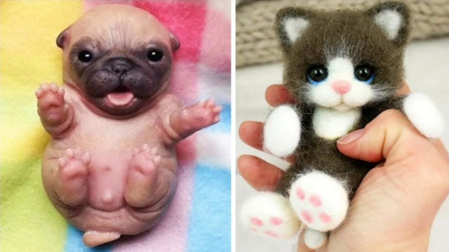 کلیپ حیوانات خانگی بامزه  سگها...