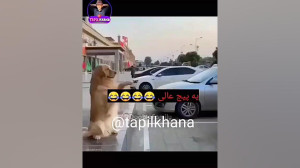 طنز کلیپ طنز خنده دار طنز ترکی...