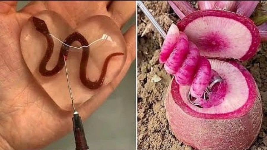 کلیپ آرامش بخش  سرگرمی و تفریح...