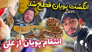 طنز | پویان ان ار | انگشت پویا...