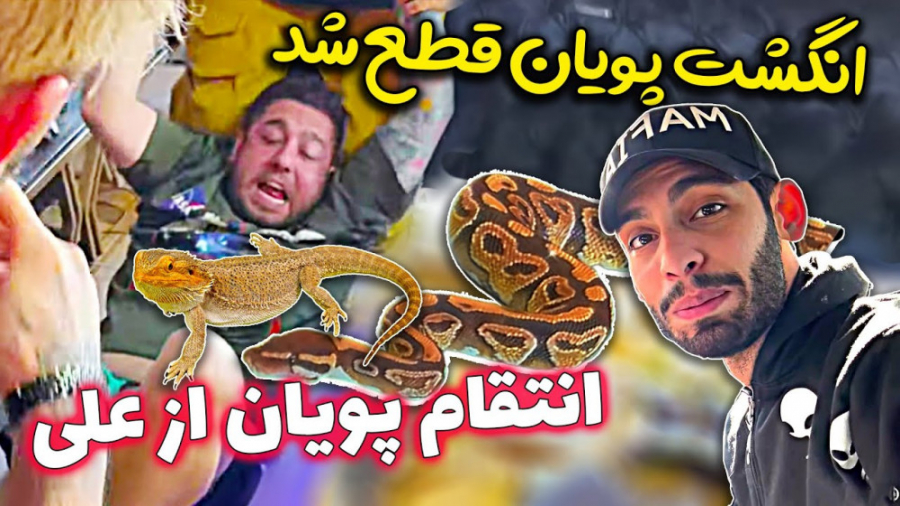 انگشت پویان قطع شد ، انتقام پو...