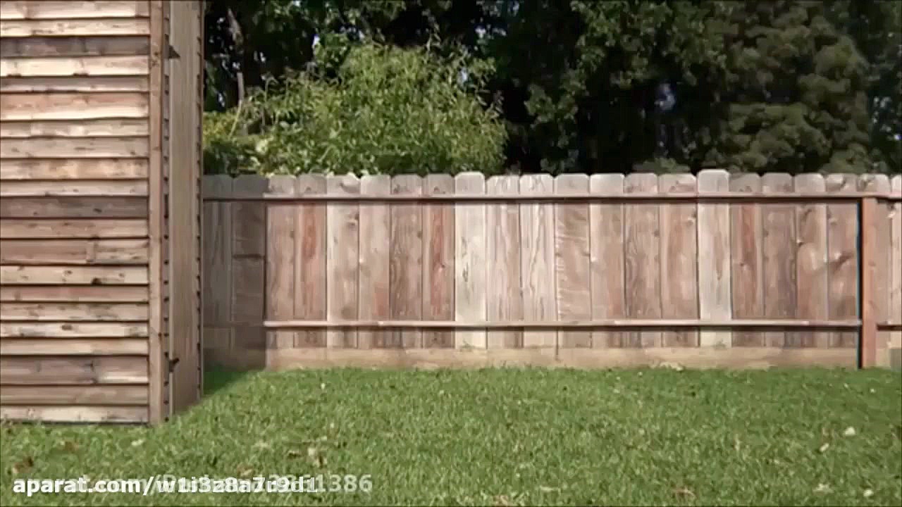 کارتون دنیای شگفت انگیز گامبال...