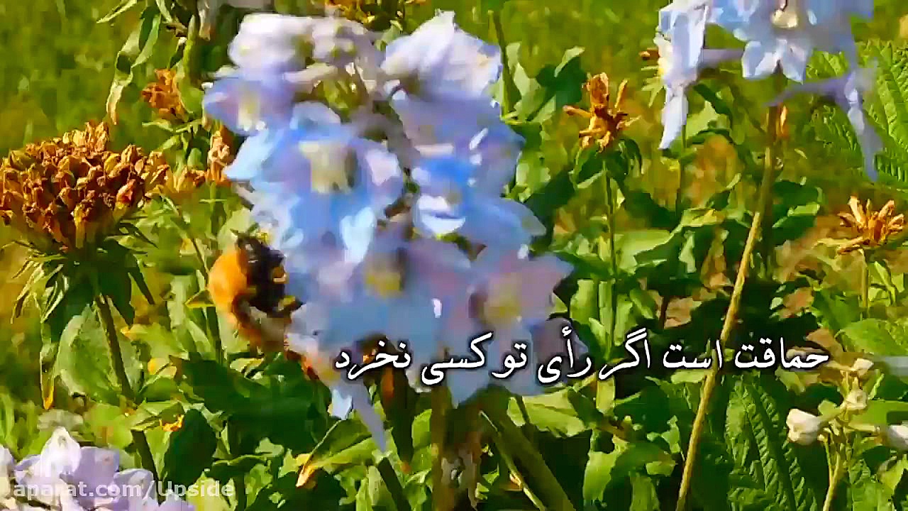 کتاب کون و مکان  شعر با صدای ش...