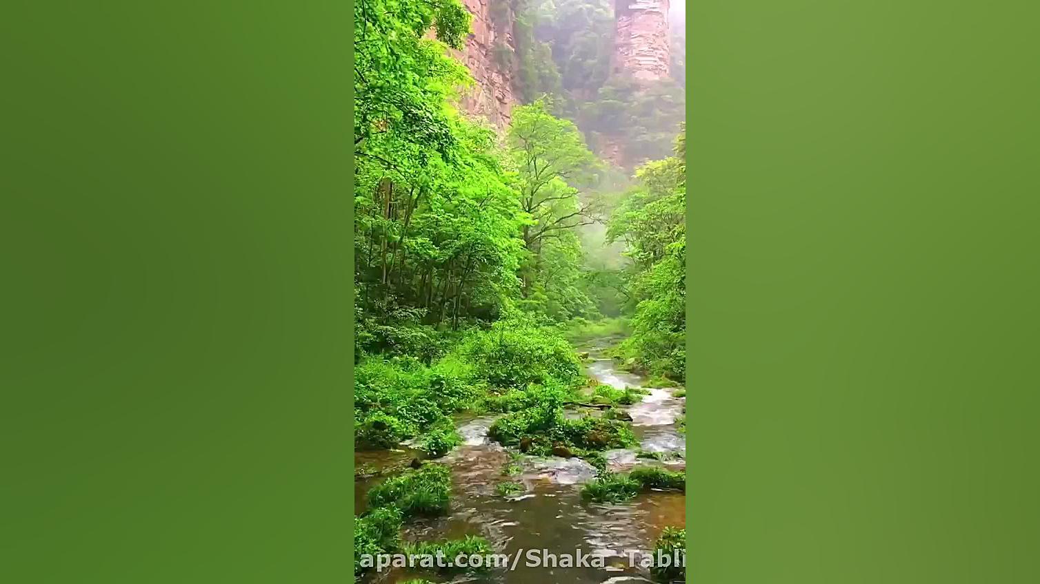 صبحتون به زيبايي اين طبيعت چشم...