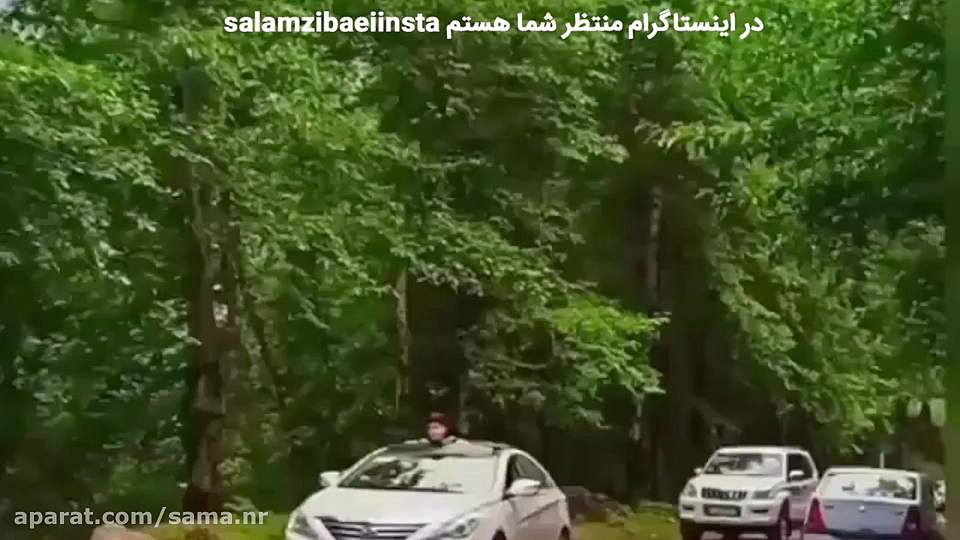 کلیپ شاد صبح بخیر | اهنگ شاد و...