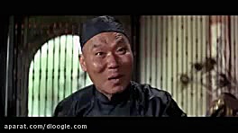 فیلم رزمی هفت ضربه رزمی