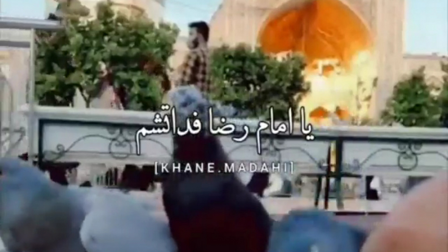 کلیپ امام رضا ع . یا امام رضا...