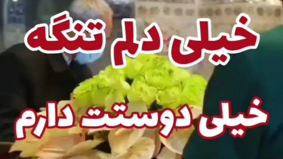 کلیپ ولادت امام رضا ع. دلتنگ ح...