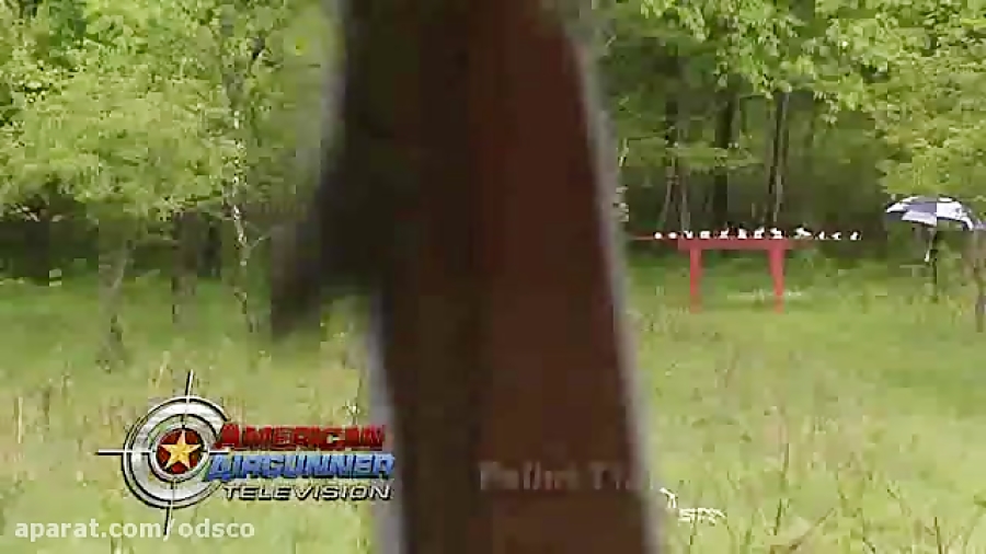 هدف زنی تفنگ بادی کالیبر5.5 دی...